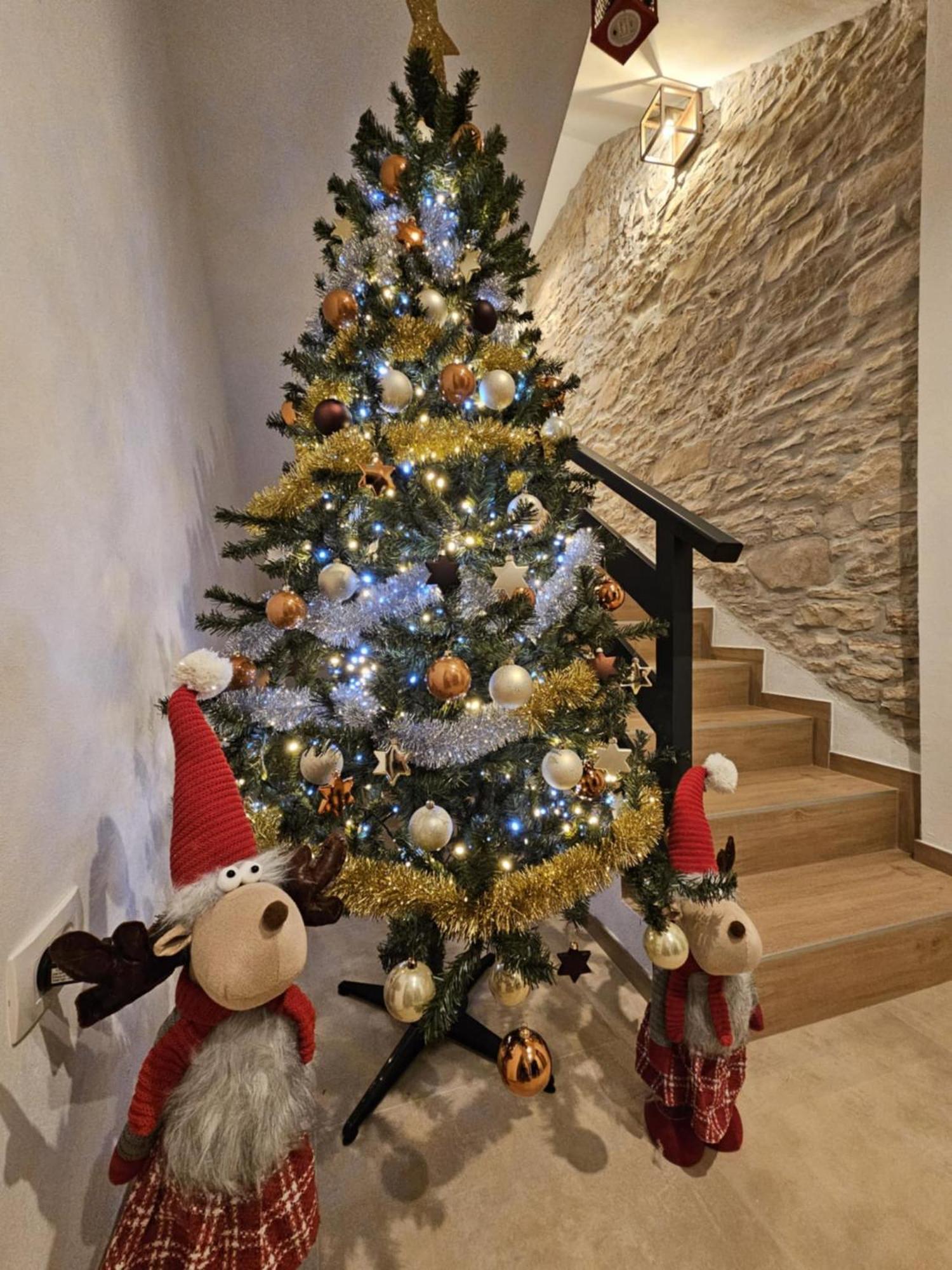 Villa Emilia 2 Umag Exteriér fotografie